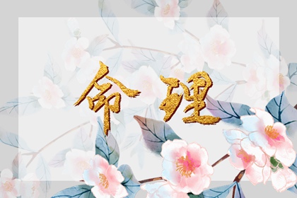 2025老黄历黄道吉日查询,今天黄历是什么日子,黄历吉日查询